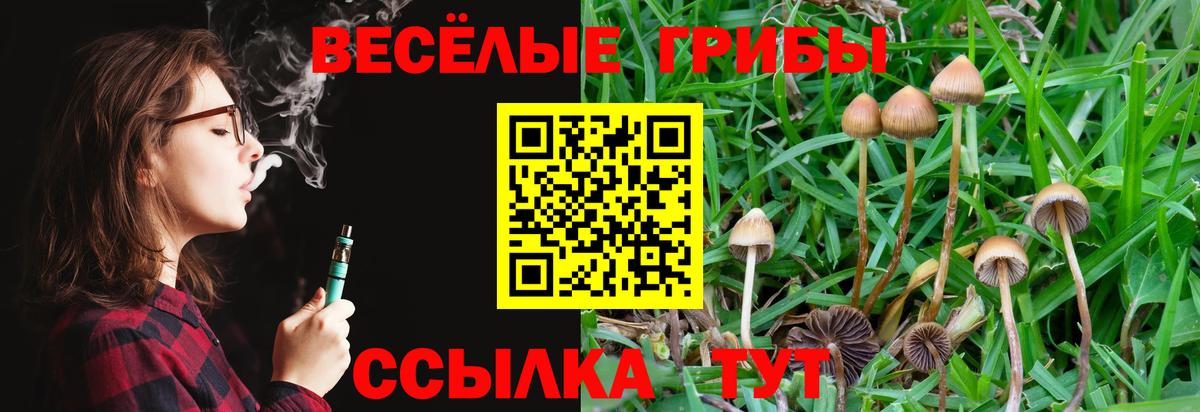 Галлюциногенные грибы мухоморы Сегежа