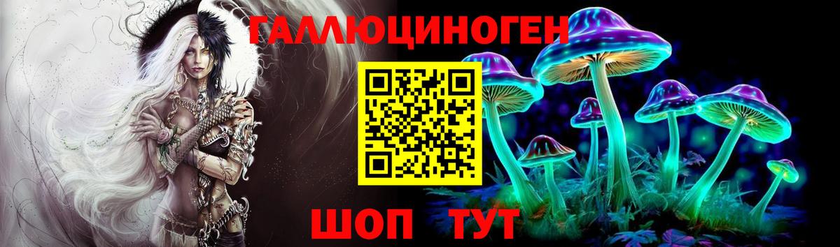 Псилоцибиновые грибы Psilocybine cubensis  хочу наркоту  Сегежа  Вход с VPN 